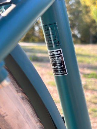 Bicicleta Paseo Holandesa