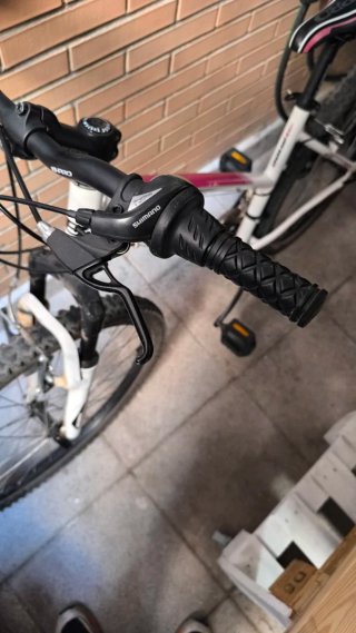 Bicicleta de montaña B-Pro M100