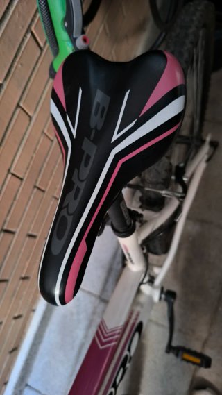 Bicicleta de montaña B-Pro M100