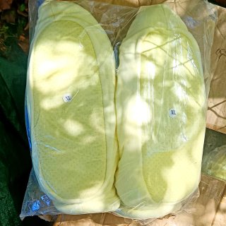 Zapatillas