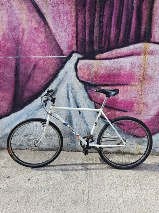 Bicicleta de ciudad single speed. Cuadro japones.