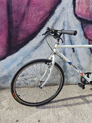 Bicicleta de ciudad single speed. Cuadro japones.