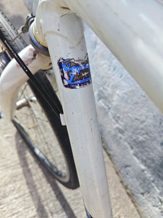 Bicicleta de ciudad single speed. Cuadro japones.