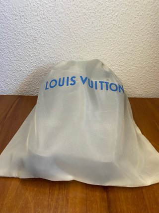 Louis Vuitton Skate Sneaker