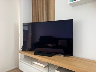 LG OLED 55 TV