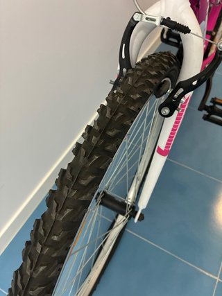 Bicicleta Montaña Rosa X-TERM PRO