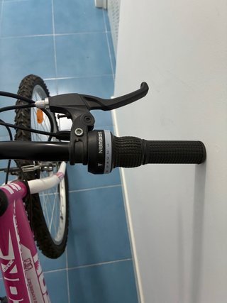 Bicicleta Montaña Rosa X-TERM PRO