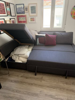 Sofá Cama Gris Ikea Friheten