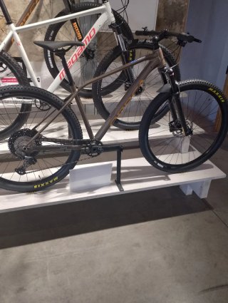 Bicicleta de montaña