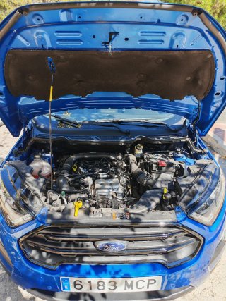 Ford EcoSport 2022