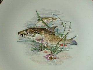 🇫🇷 9 Platos Llanos pescado Porcelana