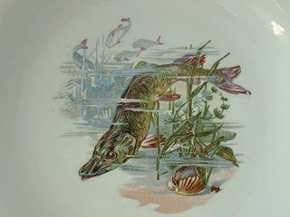 🇫🇷 9 Platos Llanos pescado Porcelana