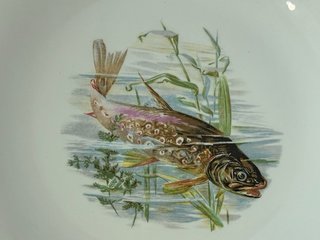 🇫🇷 9 Platos Llanos pescado Porcelana