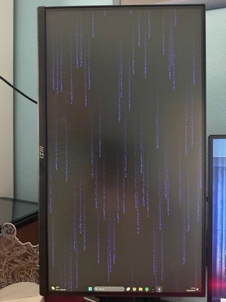 Monitor MSI