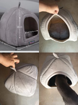 Productos Gatos/Perros Pequeños