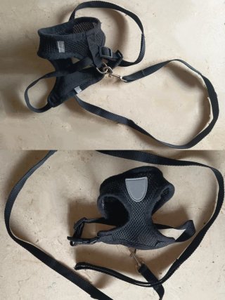 Productos Gatos/Perros Pequeños