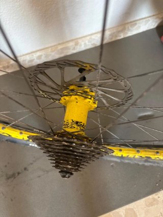 Llantas Mavic DH