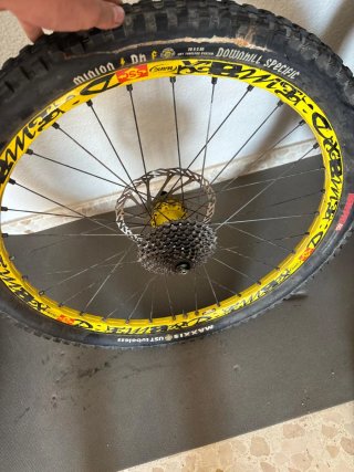 Llantas Mavic DH