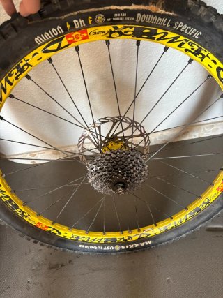 Llantas Mavic DH