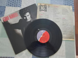 ‼️2 Vinilos x 10€‼️Gino Vannelli