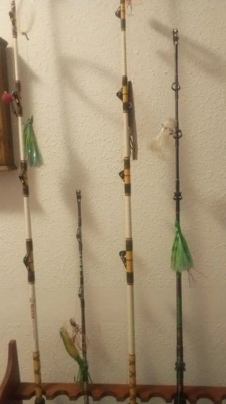Canne da pesca per barca e mulinelli