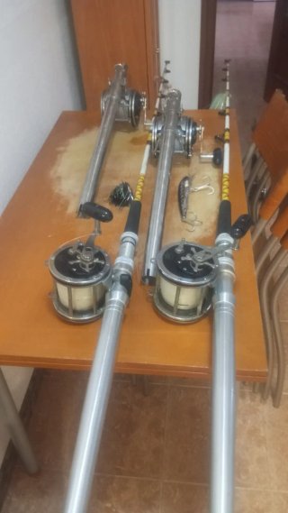 Canne da pesca per barca e mulinelli