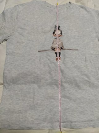 Camiseta Gris Talla L/XL