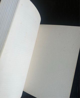 Livro “O encantador de cavalos”, Nicholas Evans