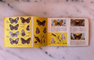 Álbum Cromos Mariposas Británicas Años 60