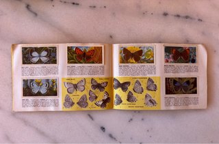 Álbum Cromos Mariposas Británicas Años 60