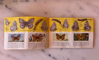 Álbum Cromos Mariposas Británicas Años 60