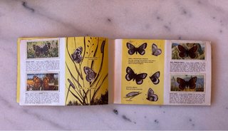 Álbum Cromos Mariposas Británicas Años 60