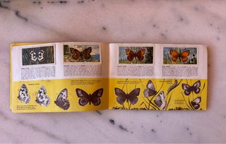 Álbum Cromos Mariposas Británicas Años 60