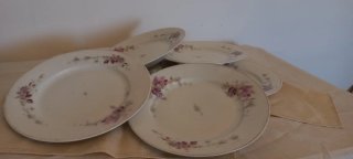 Piatti antichi floreali 1898