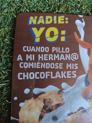 2 Alfombrillas ratón Choco Flakes 16×21 cm