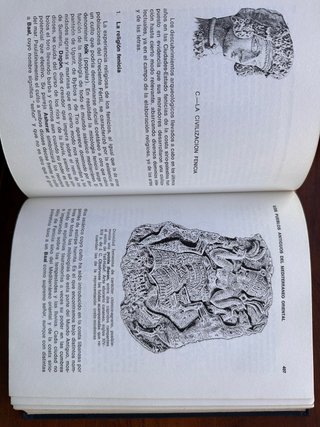 Libro. Brevario de la historia antigua