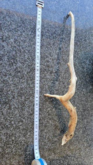 Raíz para acuario mediana de madera
