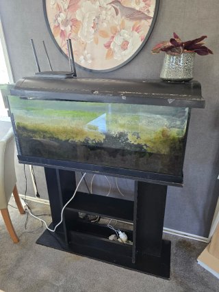 Acuario con mueble negro