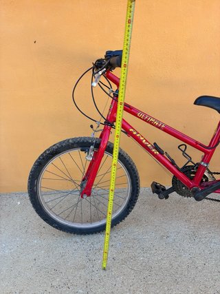 Bicicleta Roja Ultimate Silver