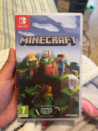 Minecraft Nintendo Switch