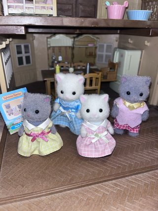 Casa Sylvanian Families con accesorios