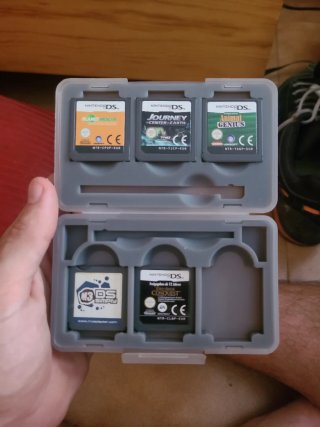 Juegos Nintendo DS: Animal Genius, Journey, más