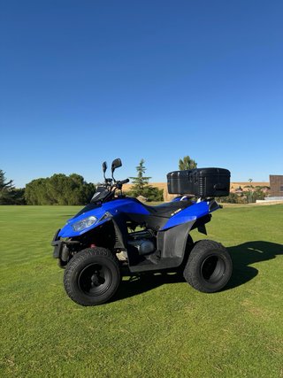 Quad E-TON 250 Off-road