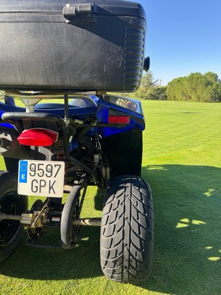 Quad E-TON 250 Off-road