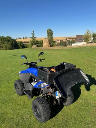 Quad E-TON 250 Off-road