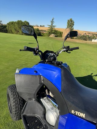 Quad E-TON 250 Off-road