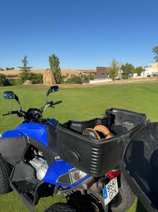 Quad E-TON 250 Off-road