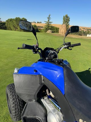 Quad E-TON 250 Off-road