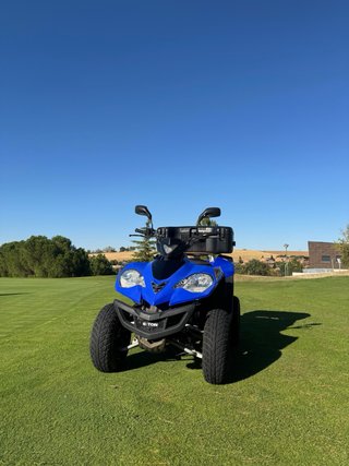 Quad E-TON 250 Off-road