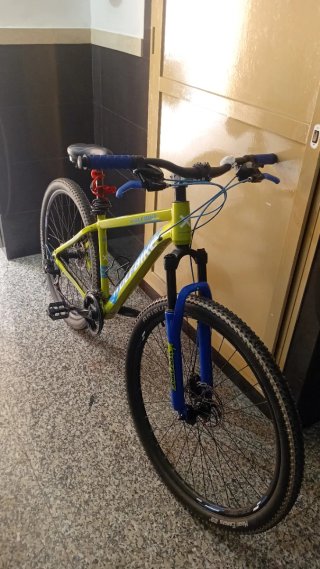 Bicicleta WOLFBIKE verde